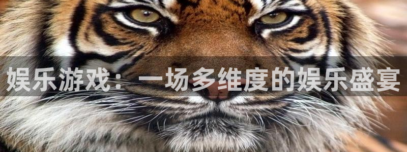 娱乐游戏：一场多维度的娱乐盛宴