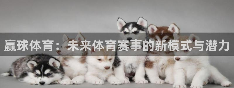 赢球体育：未来体育赛事的新模式与潜力