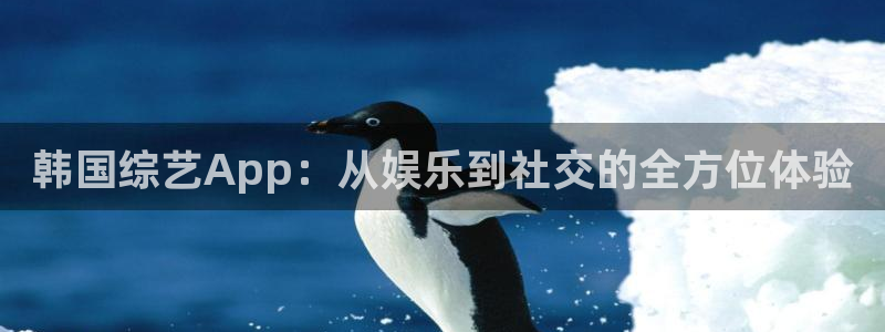韩国综艺App：从娱乐到社交的全方位体验