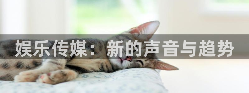 娱乐传媒：新的声音与趋势