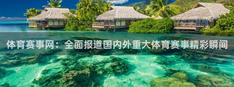 体育赛事网：全面报道国内外重大体育赛事精彩瞬间