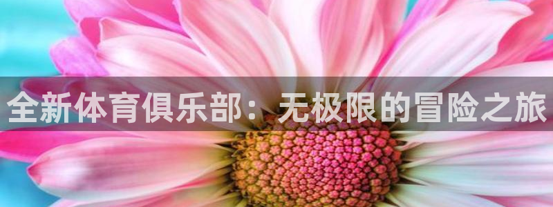 全新体育俱乐部：无极限的冒险之旅