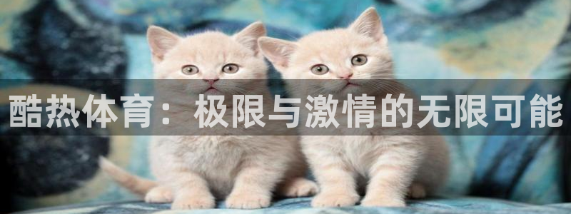 酷热体育：极限与激情的无限可能