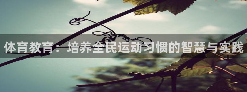 体育教育：培养全民运动习惯的智慧与实践