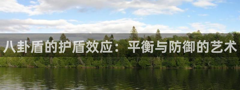 八卦盾的护盾效应：平衡与防御的艺术