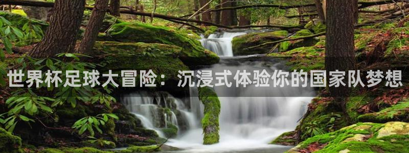 世界杯足球大冒险：沉浸式体验你的国家队梦想