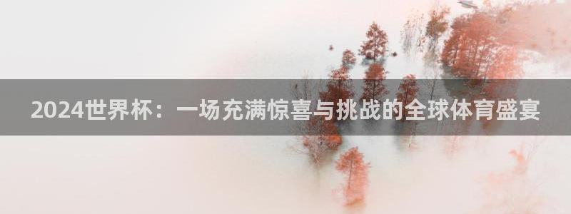 2024世界杯：一场充满惊喜与挑战的全球体育盛宴