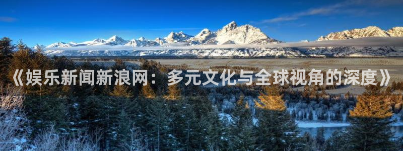《娱乐新闻新浪网：多元文化与全球视角的深度》