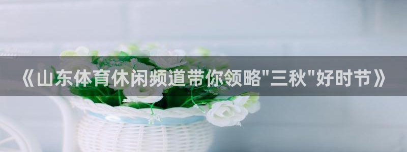 《山东体育休闲频道带你领略\