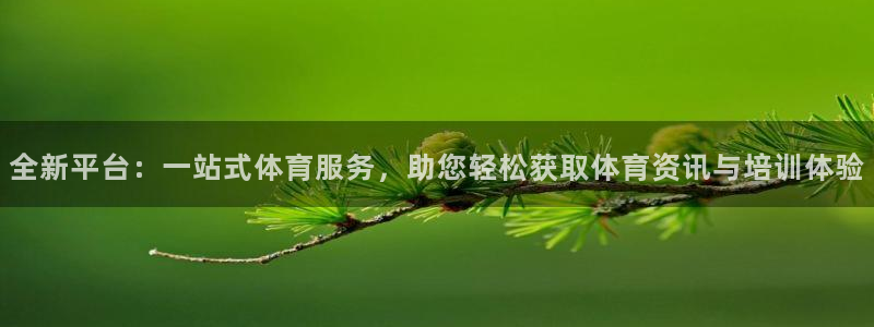 全新平台：一站式体育服务，助您轻松获取体育资讯与培训体验