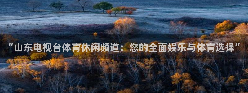 “山东电视台体育休闲频道：您的全面娱乐与体育选择”