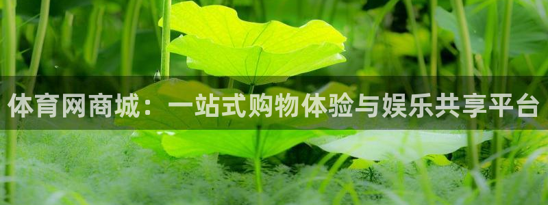 体育网商城：一站式购物体验与娱乐共享平台