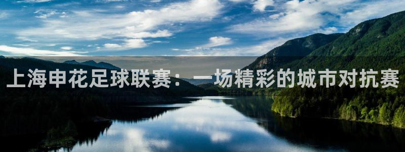 上海申花足球联赛：一场精彩的城市对抗赛