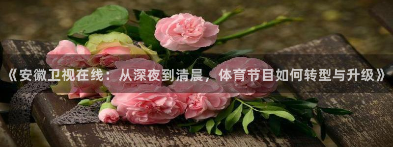 《安徽卫视在线：从深夜到清晨，体育节目如何转型与升级》