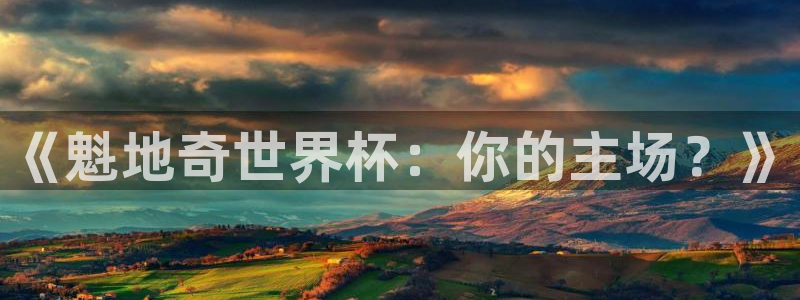 《魁地奇世界杯：你的主场？》