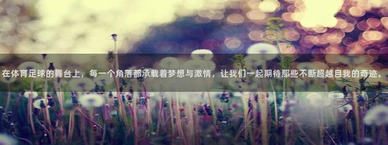 在体育足球的舞台上，每一个角落都承载着梦想与激情，让我们一起期待那些不断超越自我的奇迹。