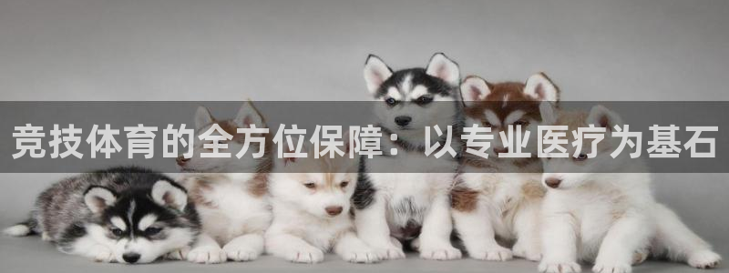竞技体育的全方位保障：以专业医疗为基石