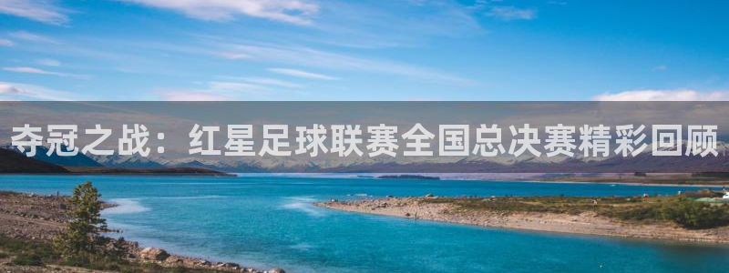 夺冠之战：红星足球联赛全国总决赛精彩回顾