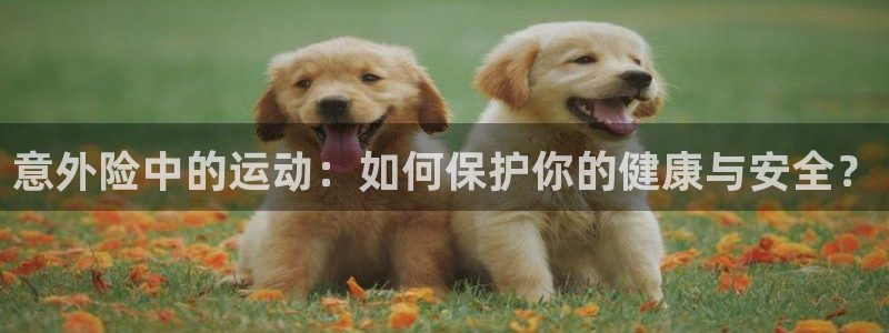 意外险中的运动：如何保护你的健康与安全？