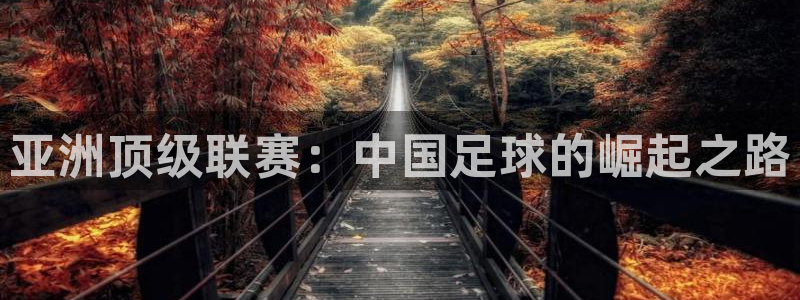 亚洲顶级联赛：中国足球的崛起之路