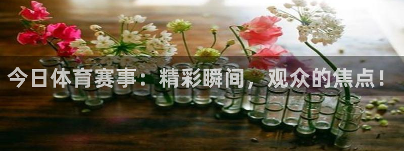 今日体育赛事：精彩瞬间，观众的焦点！