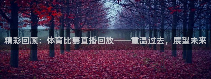 精彩回顾：体育比赛直播回放——重温过去，展望未来