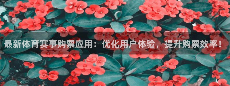 最新体育赛事购票应用：优化用户体验，提升购票效率！