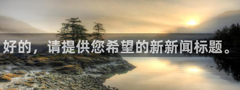 好的，请提供您希望的新新闻标题。