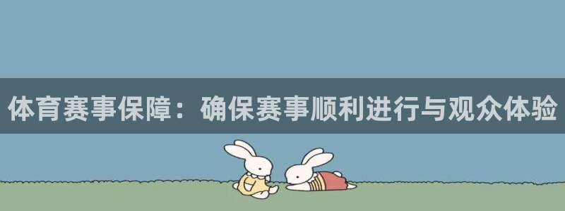 体育赛事保障：确保赛事顺利进行与观众体验