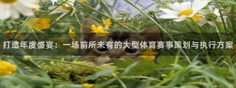 打造年度盛宴：一场前所未有的大型体育赛事策划与执行方案