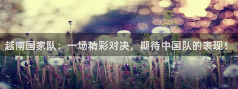 越南国家队：一场精彩对决，期待中国队的表现！