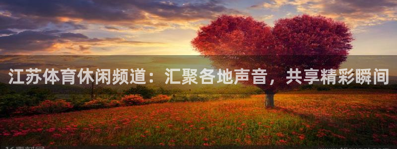 江苏体育休闲频道：汇聚各地声音，共享精彩瞬间