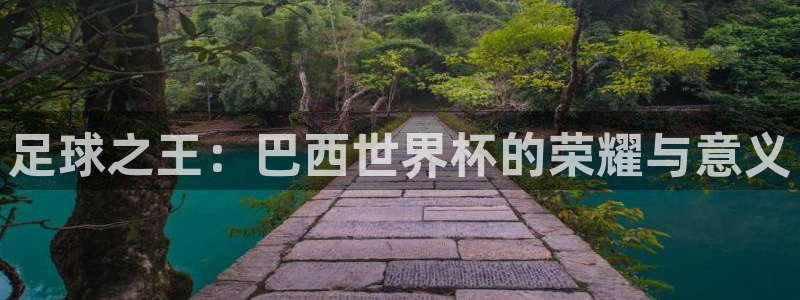 足球之王：巴西世界杯的荣耀与意义